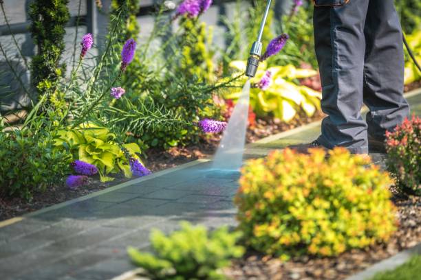 Best Patio and Deck Pressure Washing  in Roseville, CA