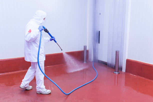 Best Spring Cleaning  in Roseville, CA